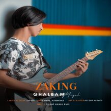 دانلود آهنگ جدید زکینگ به نام قلبم میگه